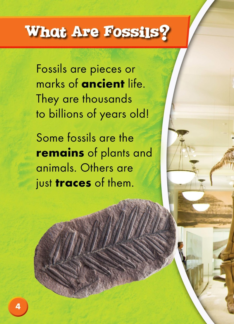 Earth Science Rocks! Fossils — page 1
