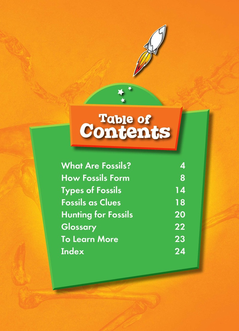 Earth Science Rocks! Fossils book cover