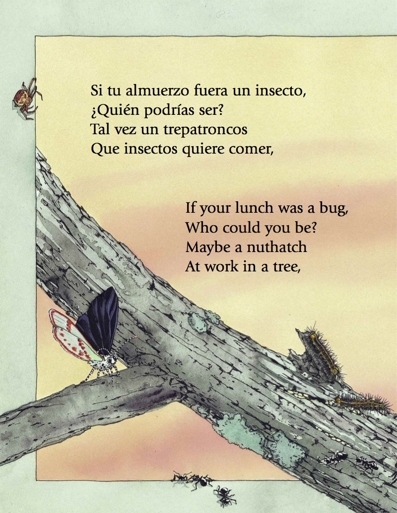 Bugs for Lunch/Insectos para el Almuerzo — page 1