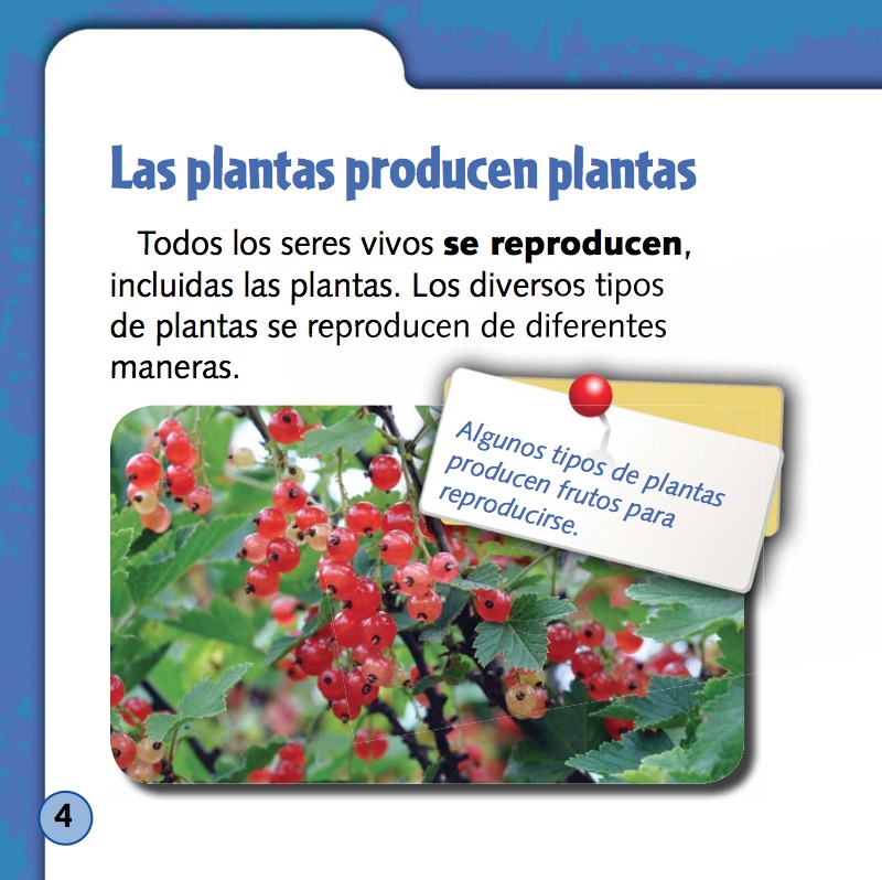 Semillas, Abejas Y Polen (Seeds, Bees, and Pollen) — page 1