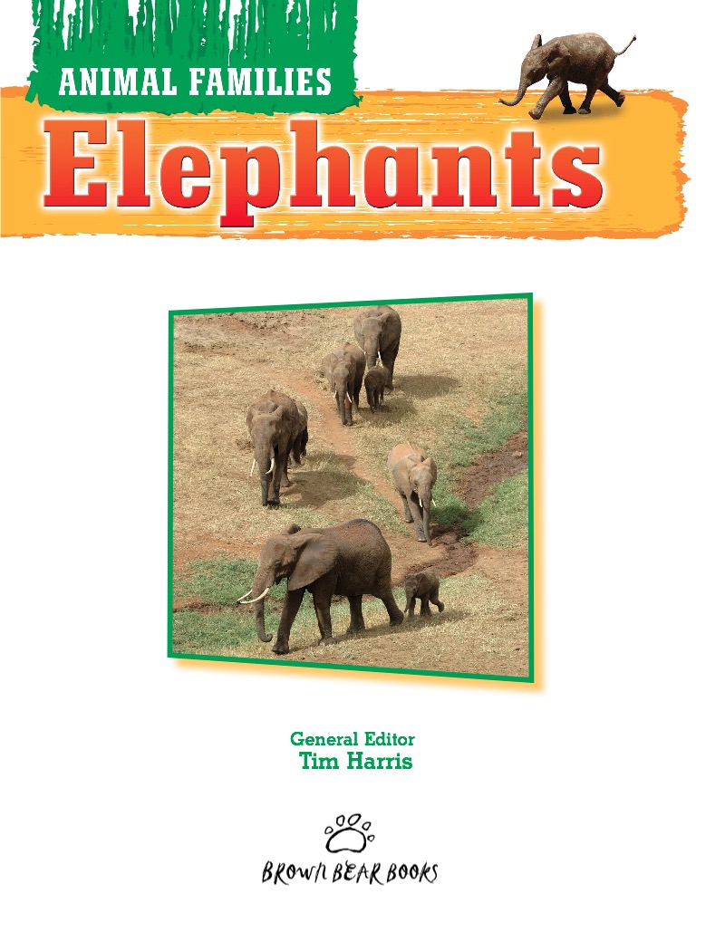 Elephants book cover
