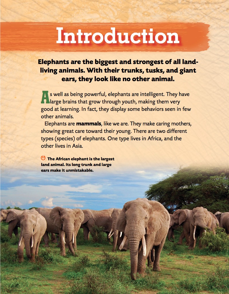 Elephants — page 1