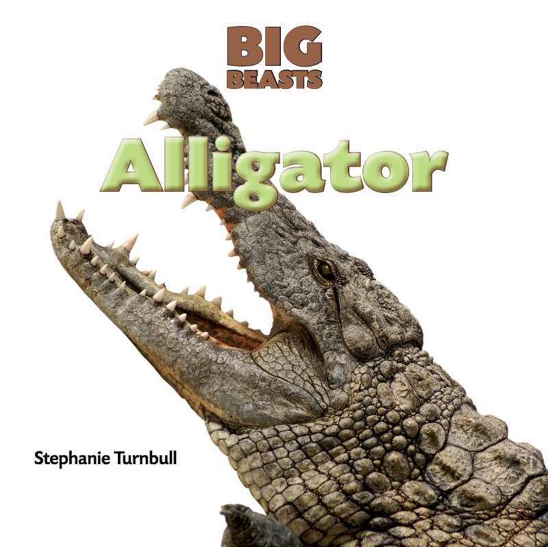 Alligator book cover