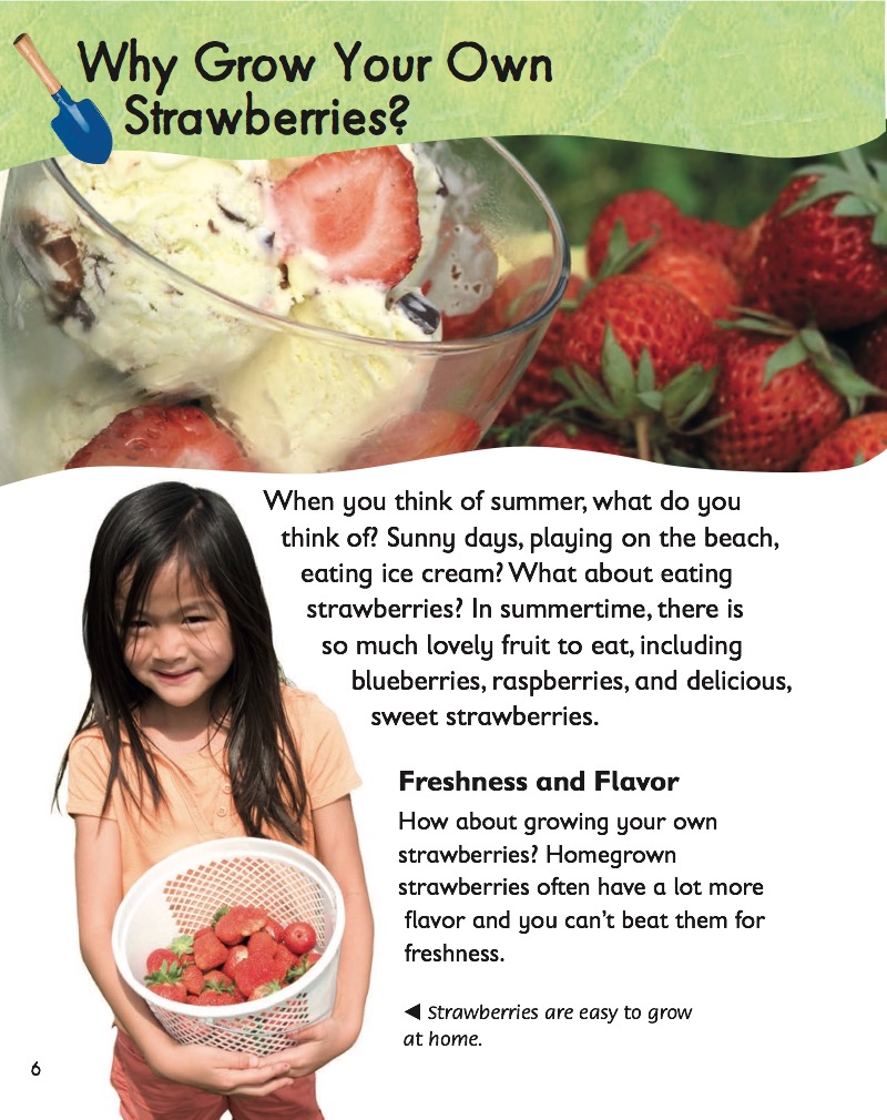 Strawberries — page 1