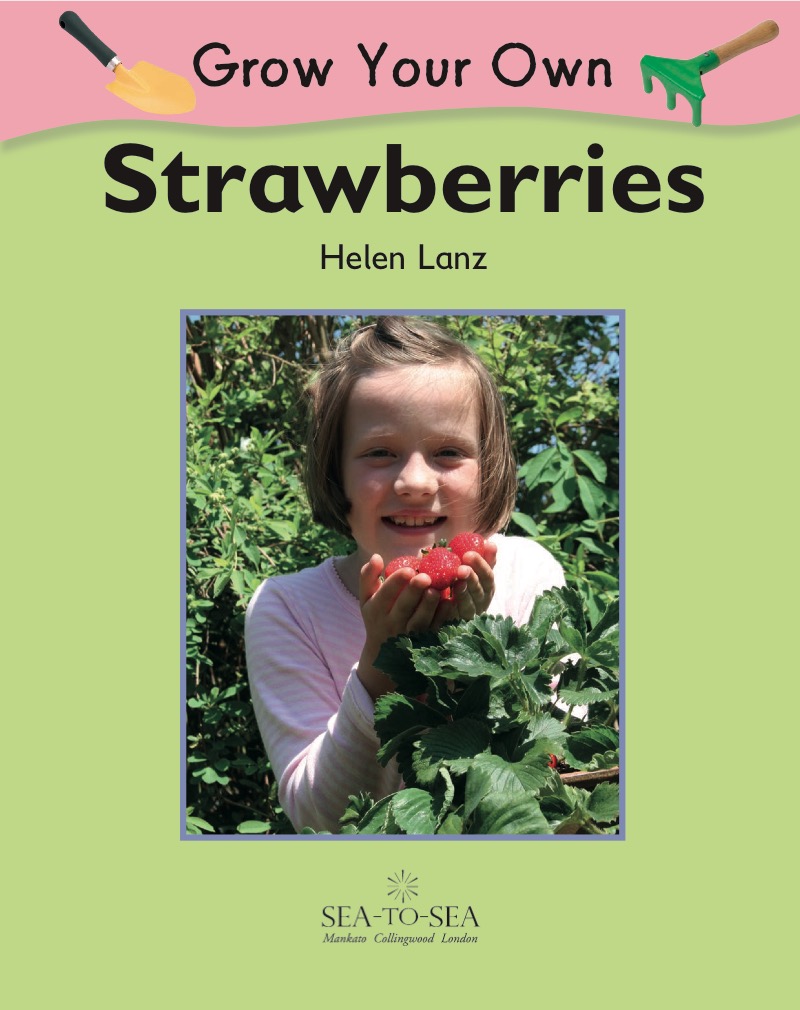 Strawberries book cover