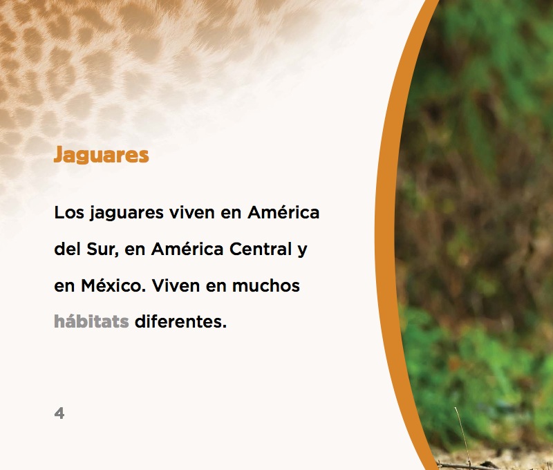 Jaguares — page 1