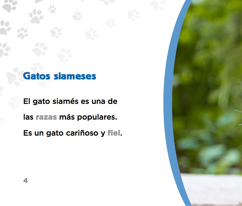 Gatos Siameses — page 1