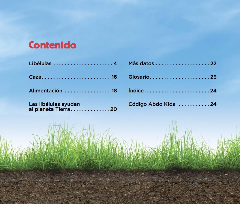 Libélulas book cover