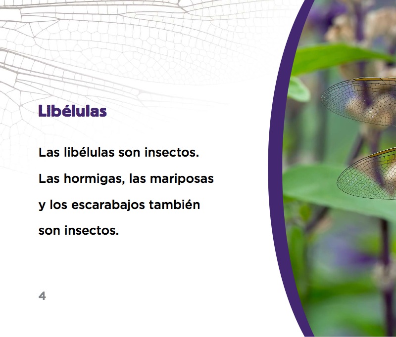 Libélulas — page 1
