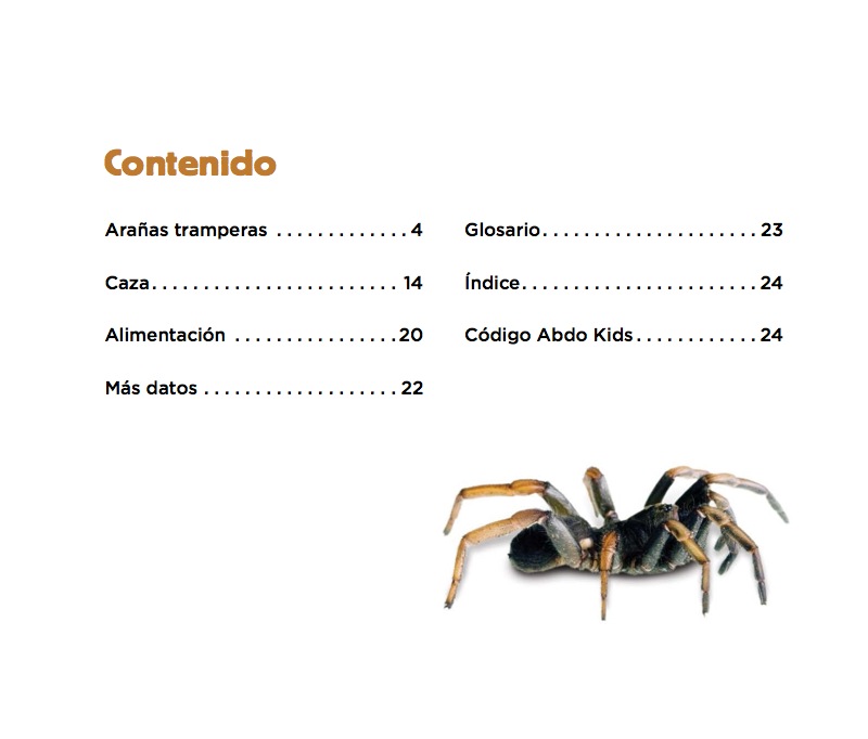 Arañas tramperas book cover