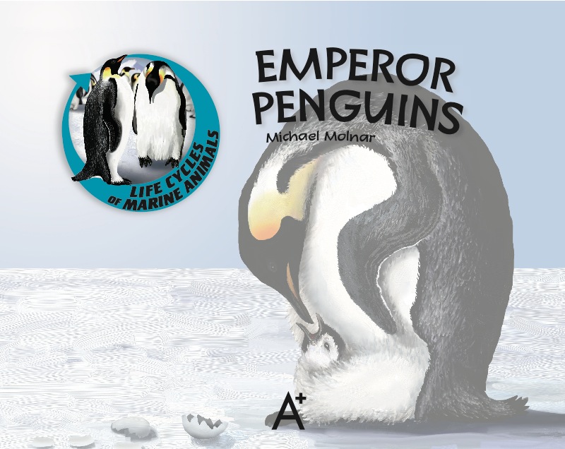 Emperor Penguins book cover
