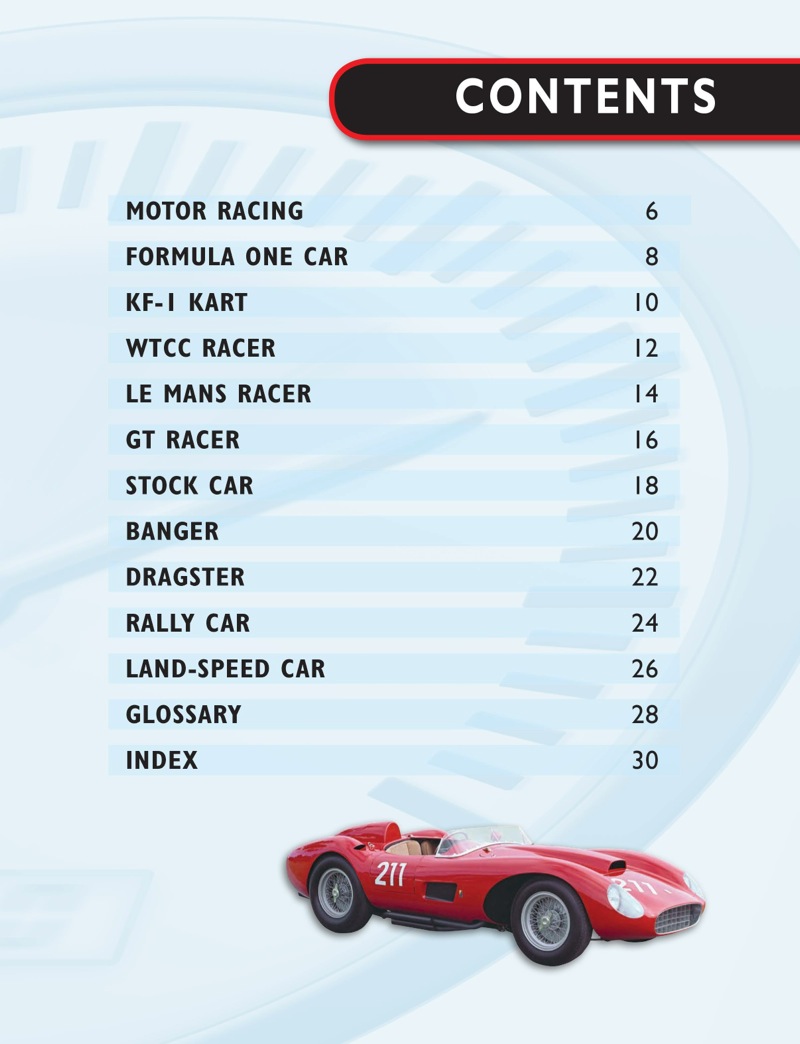 Race Cars book cover