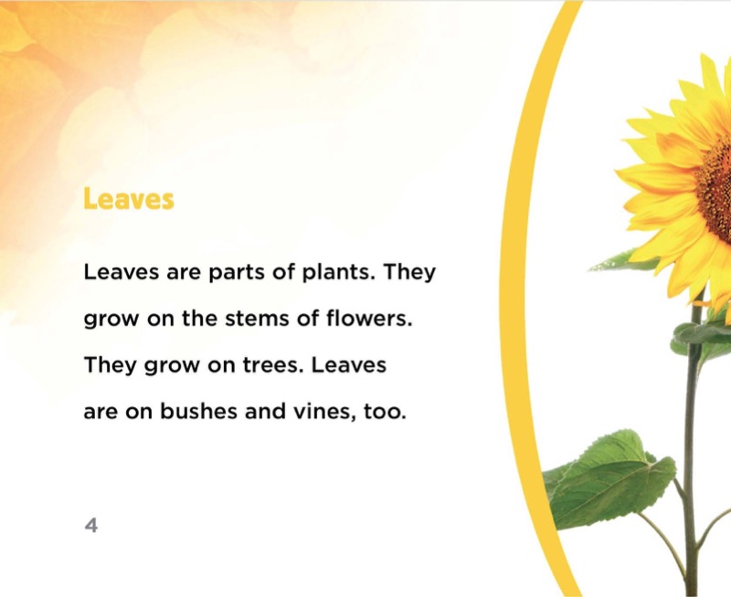 Leaves — page 1