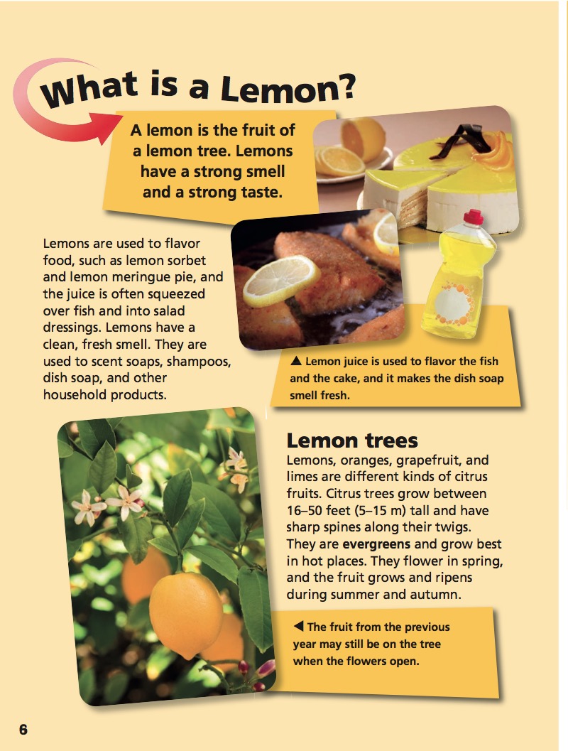 Experiments with a Lemon — page 1