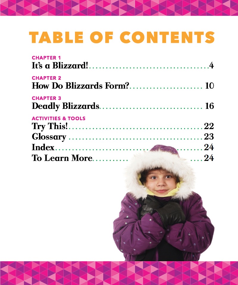 Disaster Zone: Blizzards book cover