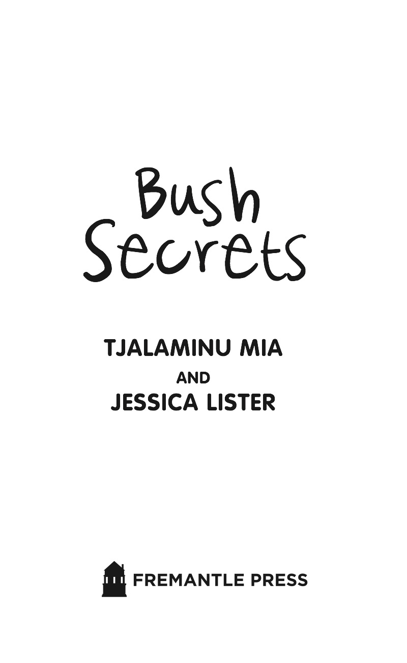Bush Secrets book cover