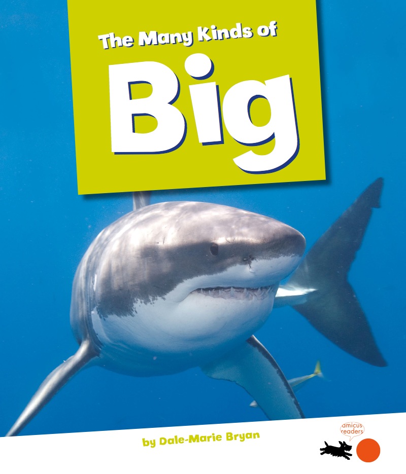 The Many Kinds Of Big book cover