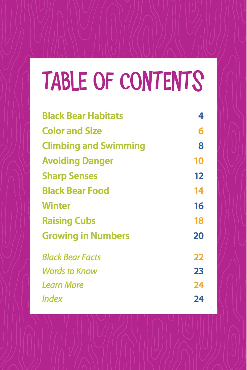 Black Bears book cover