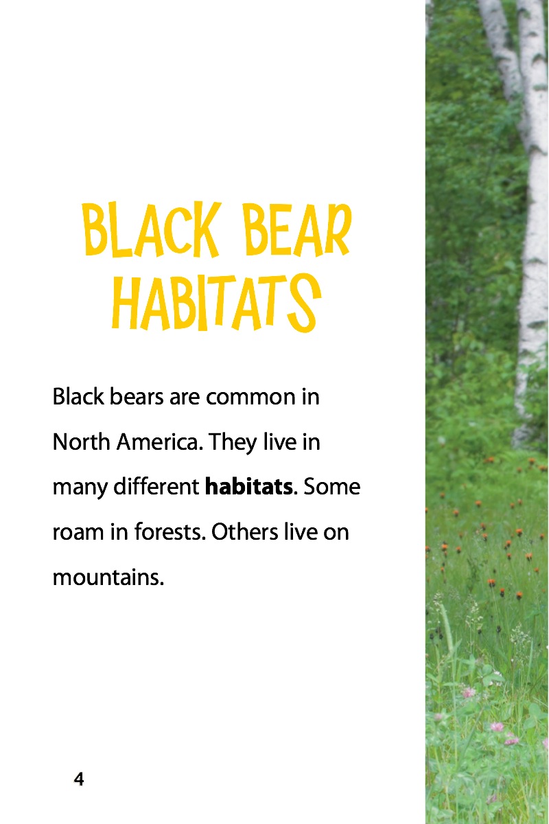 Black Bears — page 1