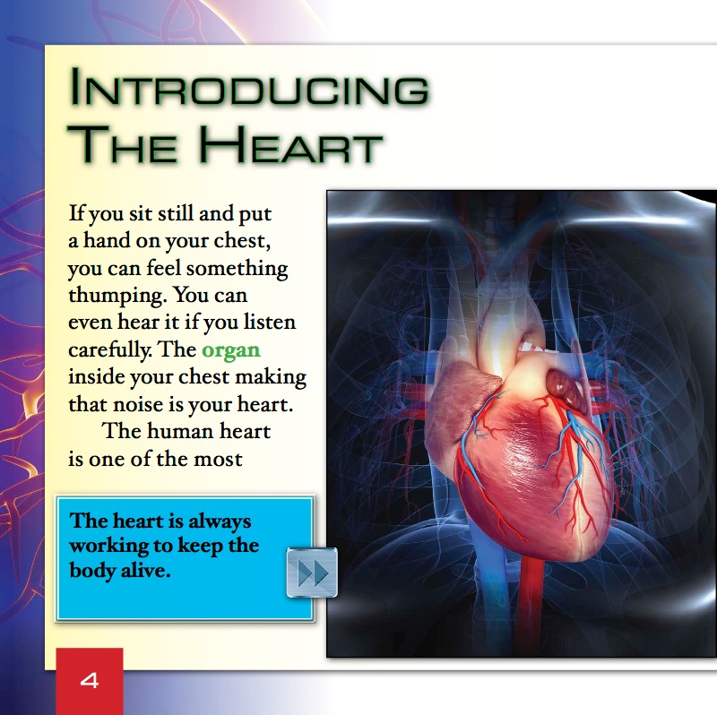The Heart and Blood in Your Body — page 1