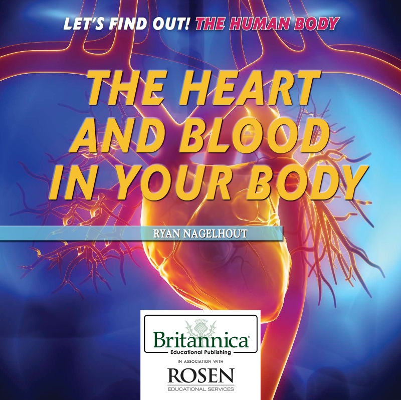 The Heart and Blood in Your Body book cover