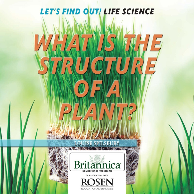 What Is the Structure of a Plant? book cover