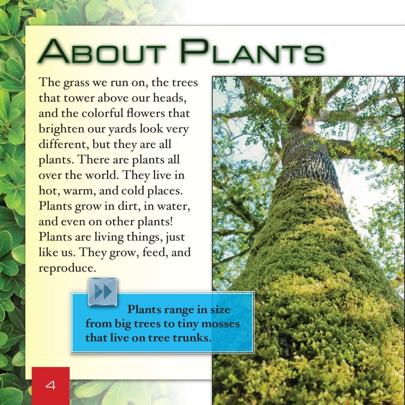 What Is the Structure of a Plant? — page 1