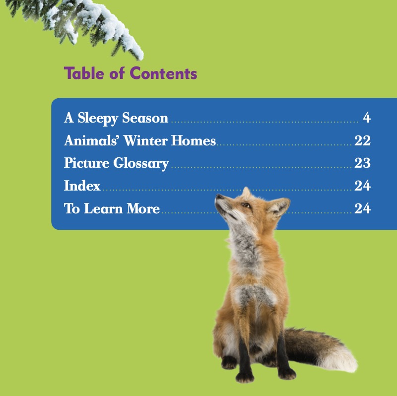 What Happens In Winter? Animals In Winter book cover