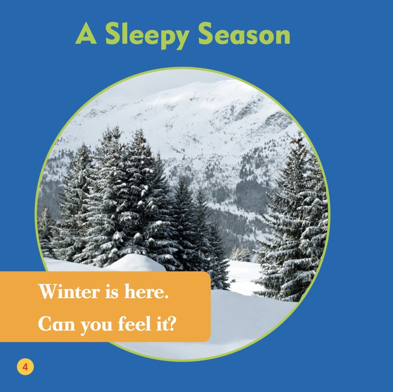 What Happens In Winter? Animals In Winter — page 1