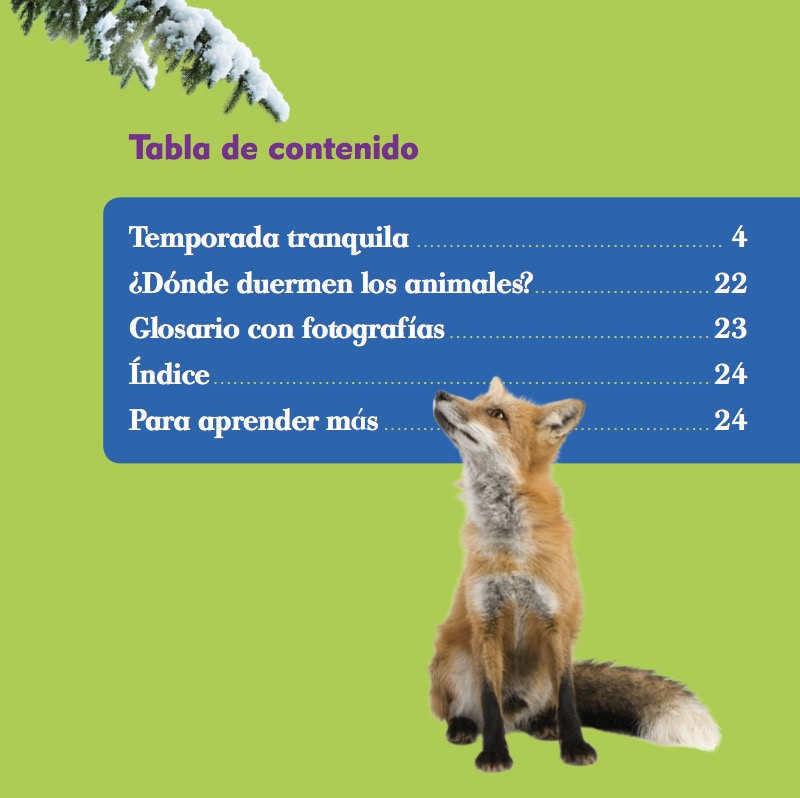 Los Animales en el Invierno (¿Qué Pasa en el Invierno?) book cover