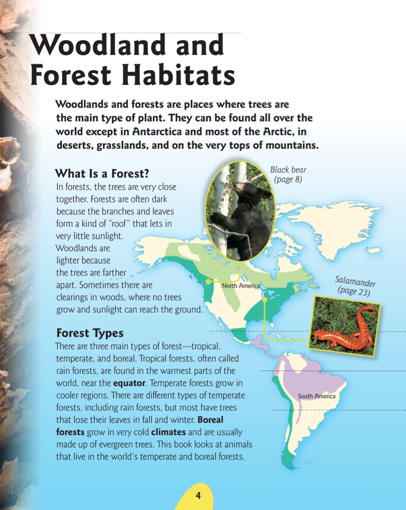 Woodland and Forest Animals — page 1