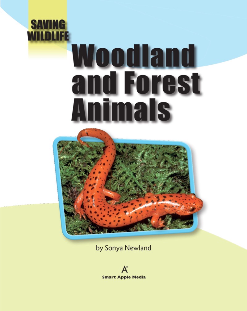 Woodland and Forest Animals book cover