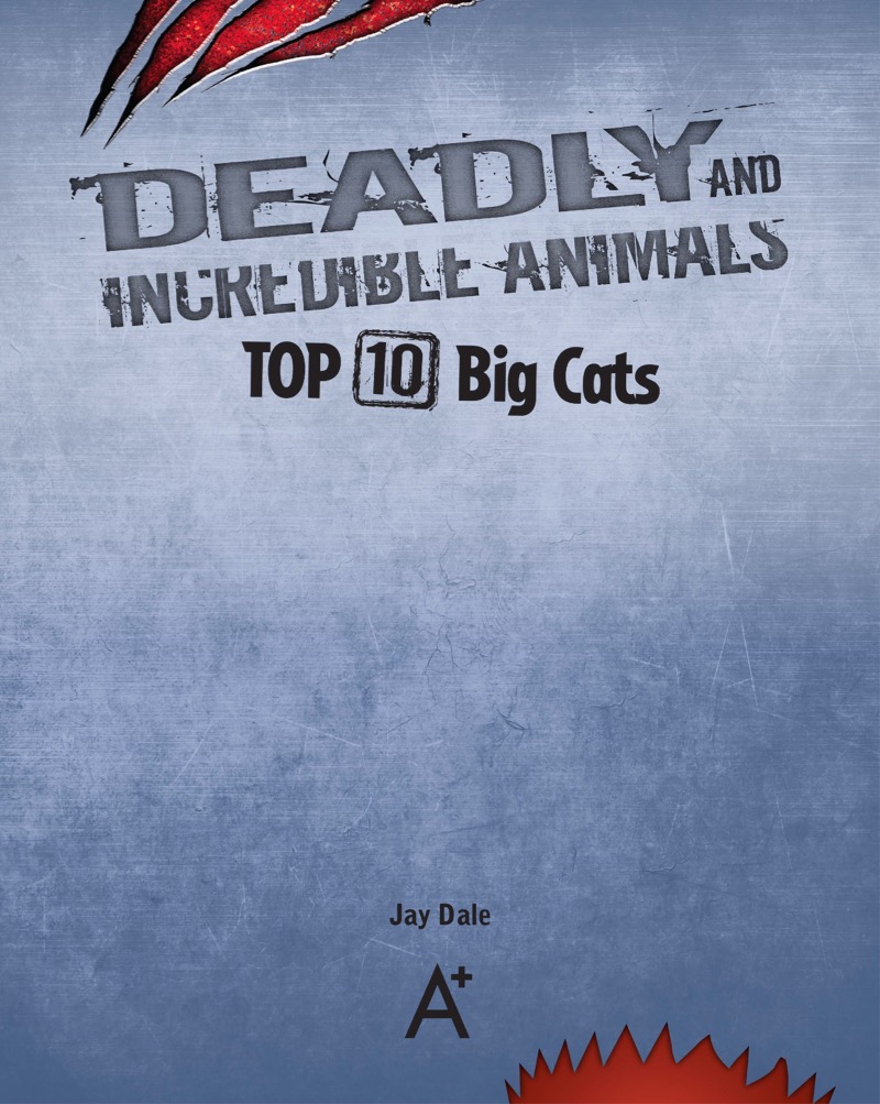Top 10 Big Cats book cover