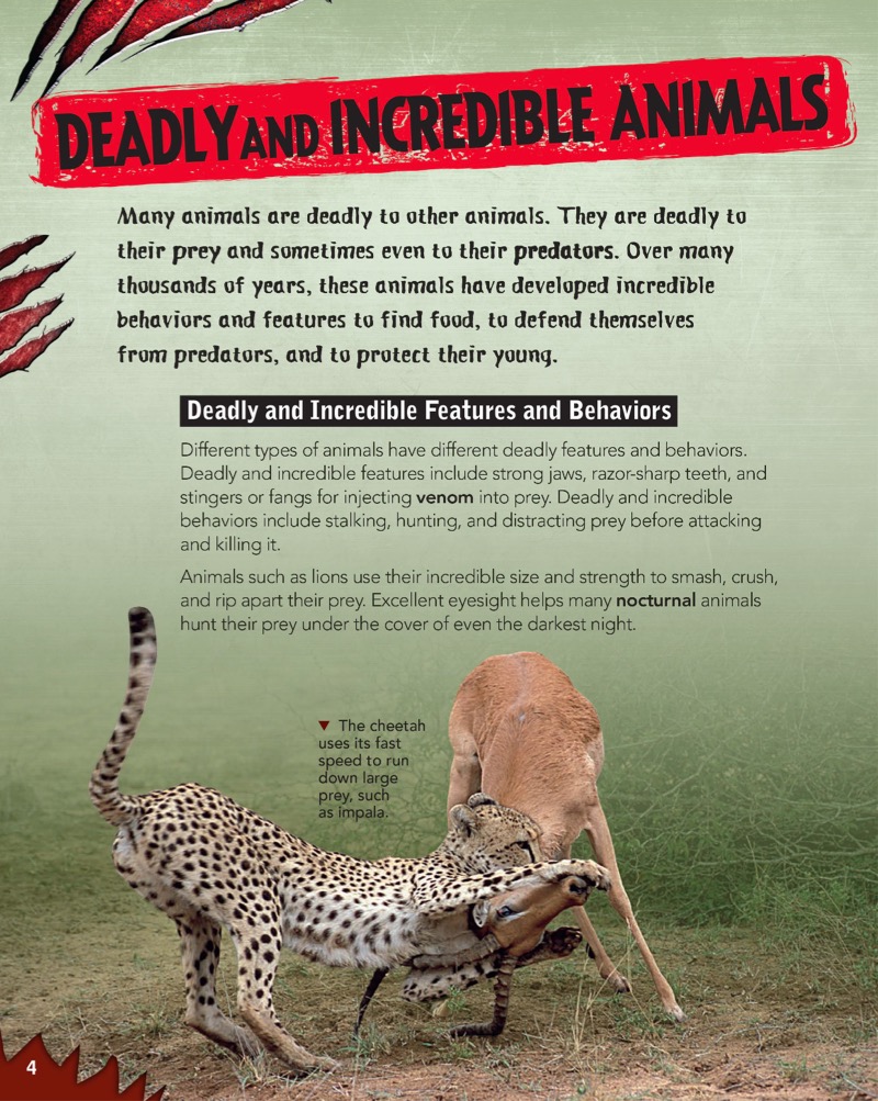 Top 10 Big Cats — page 1