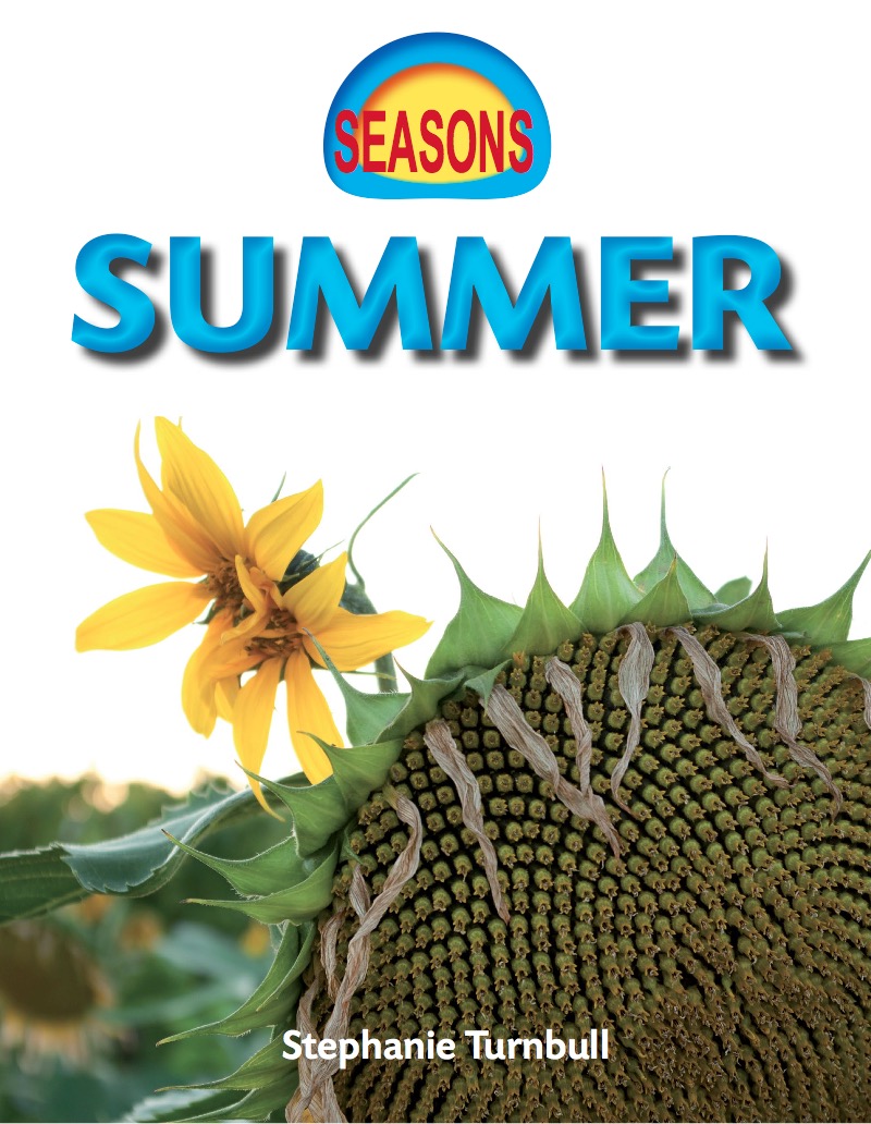 Summer book cover