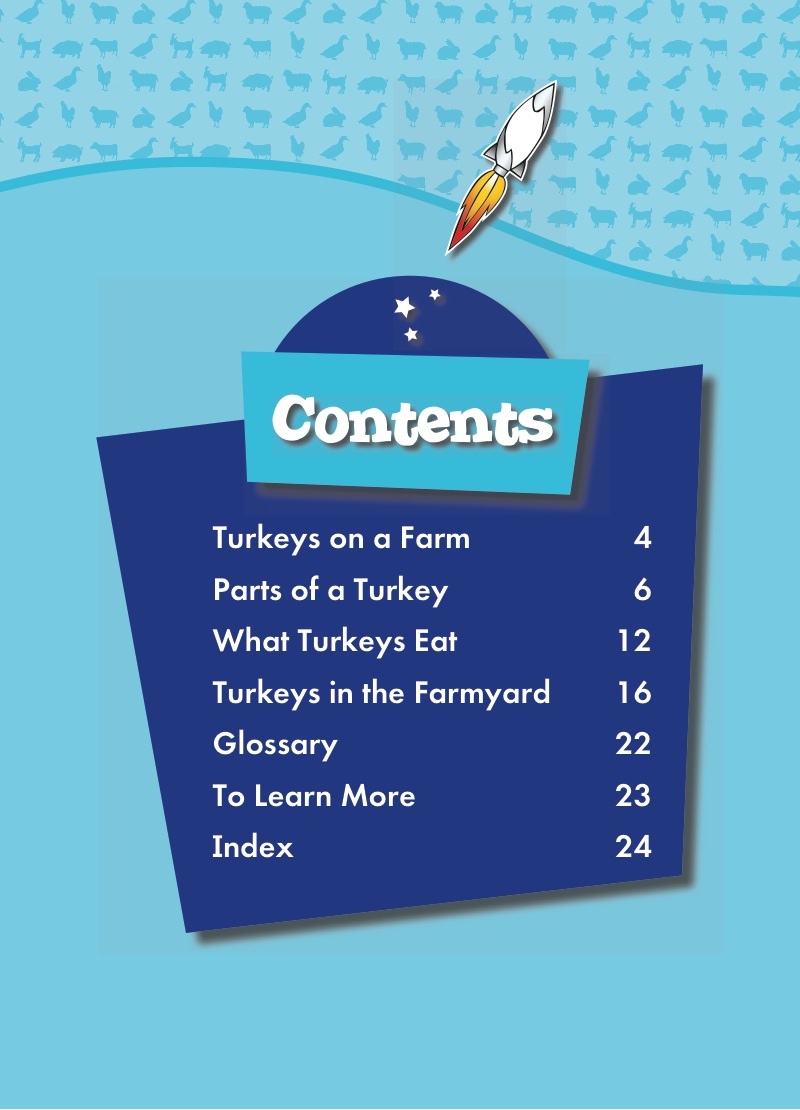 Turkeys book cover