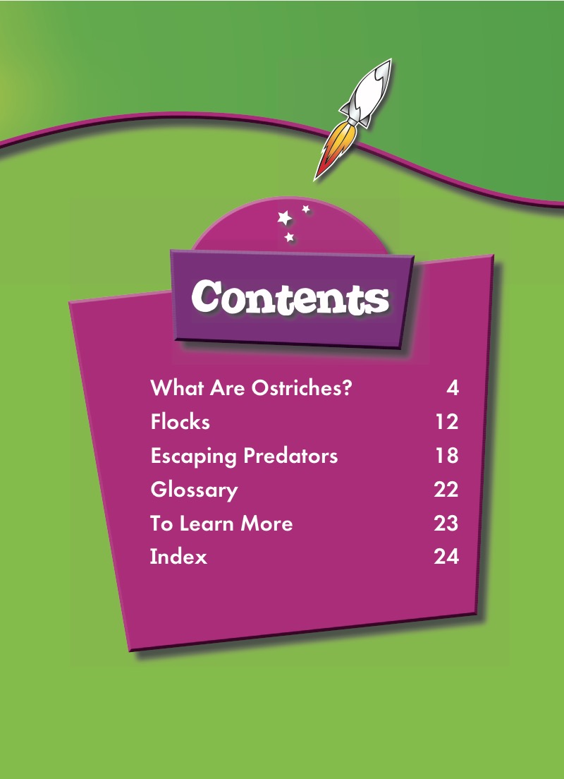 Ostriches book cover