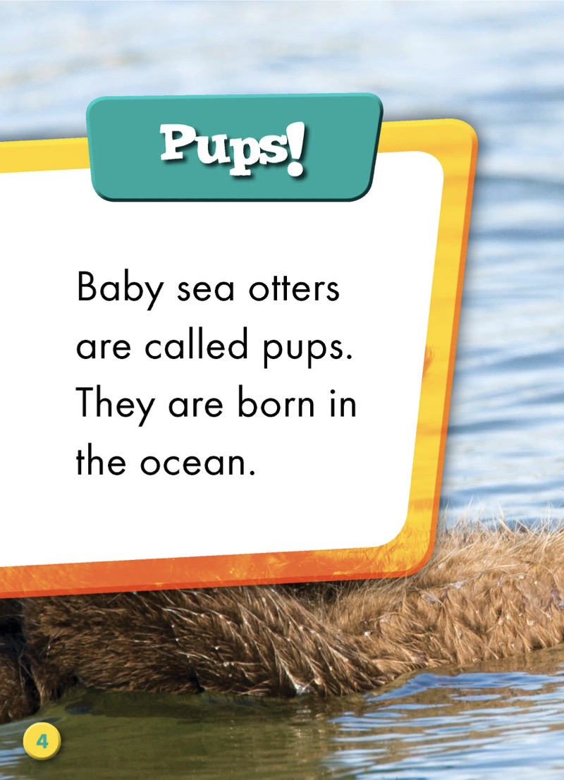 Super Cute! Baby Sea Otters — page 1