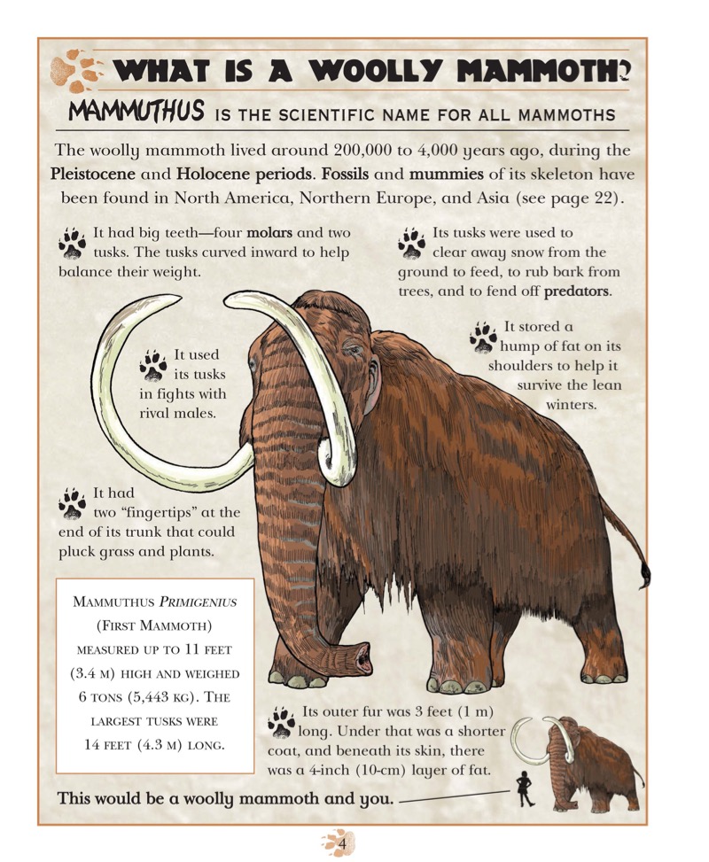 Woolly Mammoth: Mammuthus — page 1