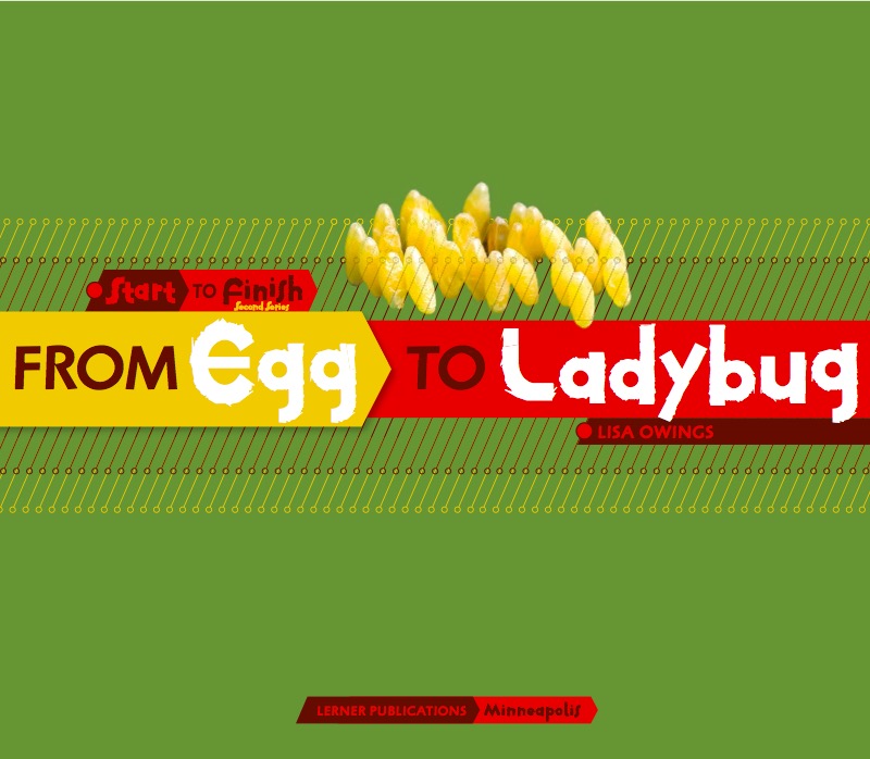 From Egg to Ladybug book cover