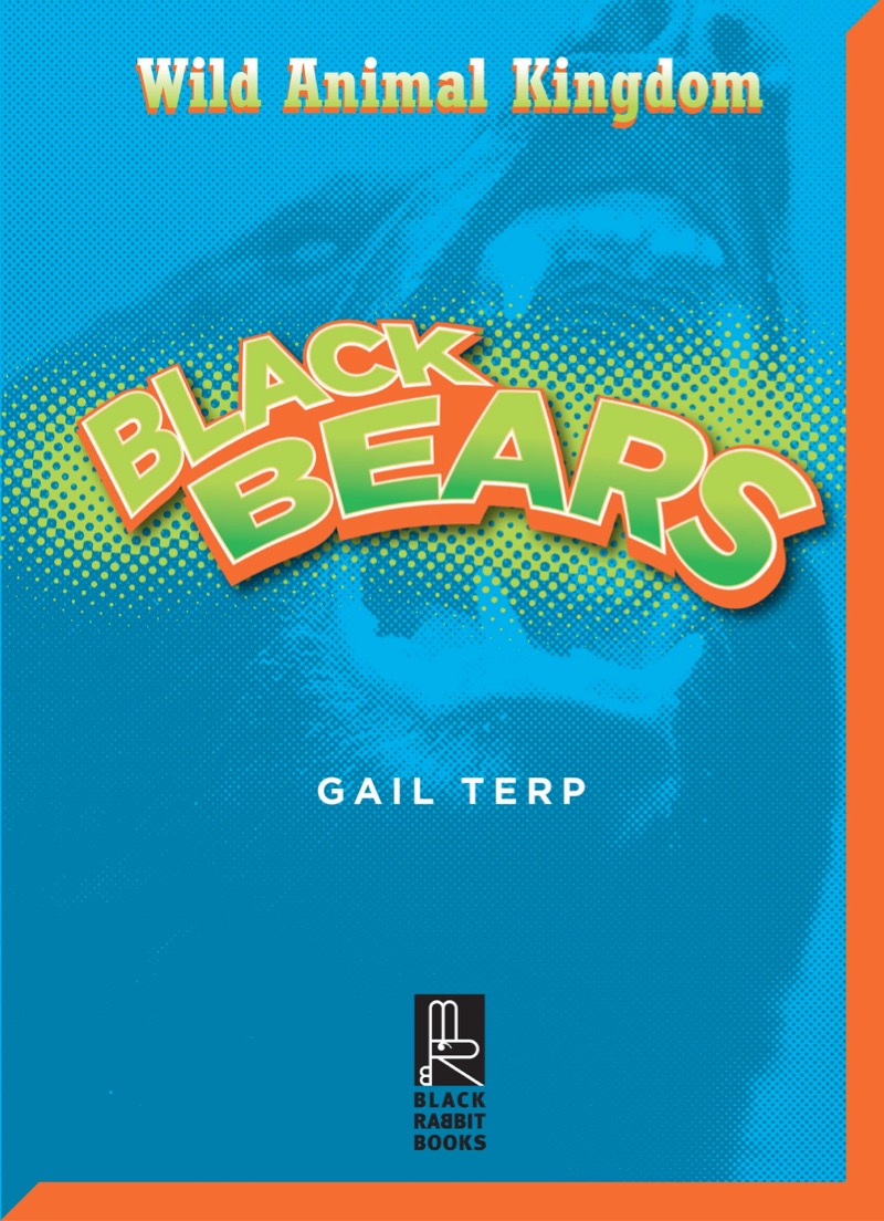 Black Bears book cover