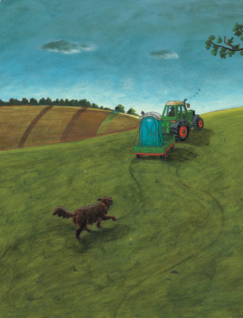 Animals in the Outhouse book cover