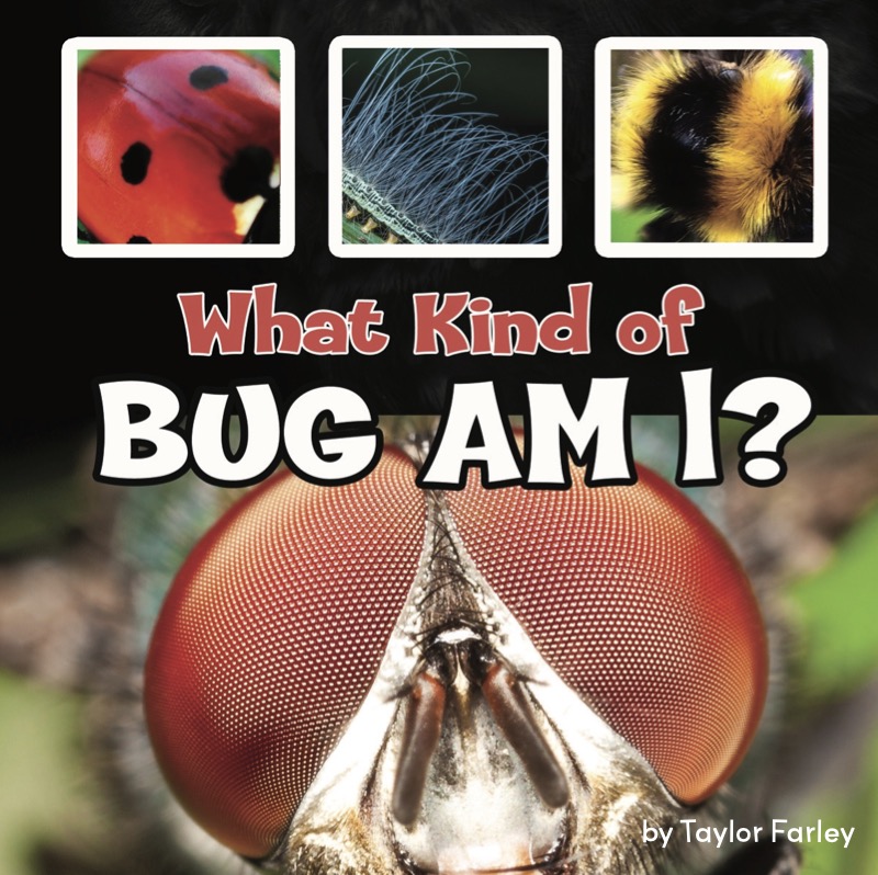 What Kind of Bug Am I? book cover