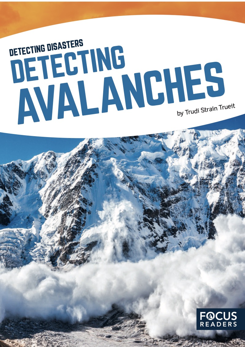 Detecting Avalanches book cover