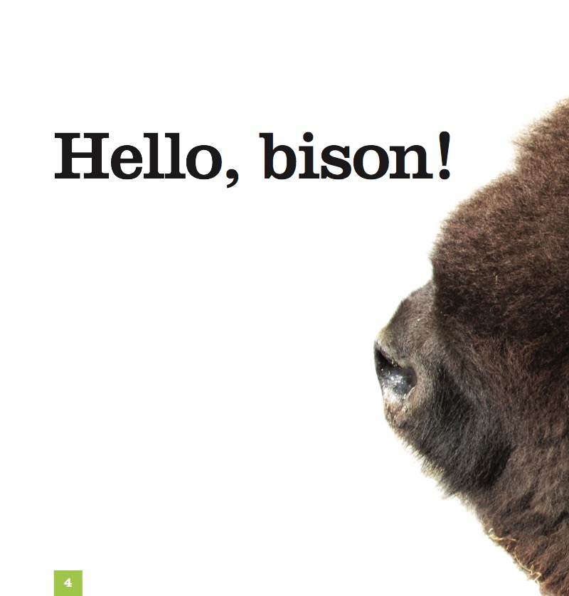 Bison — page 1