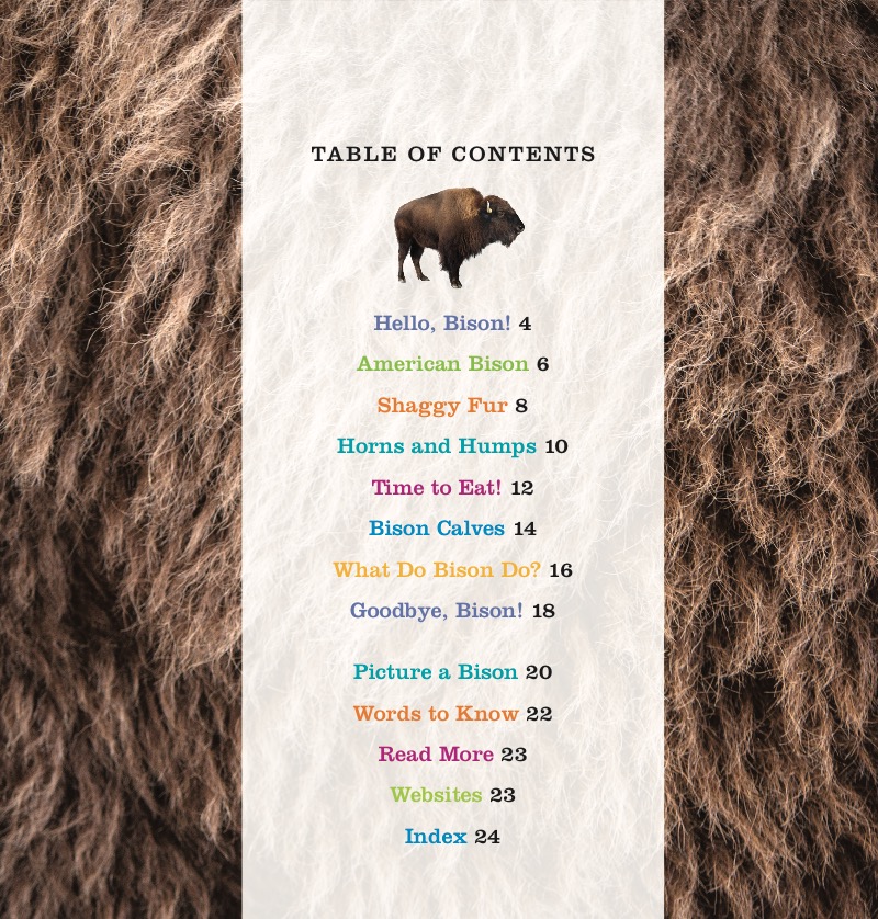 Bison book cover