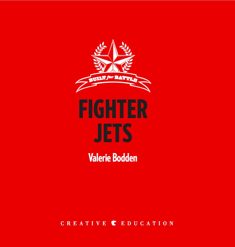 Fighter Jets book cover