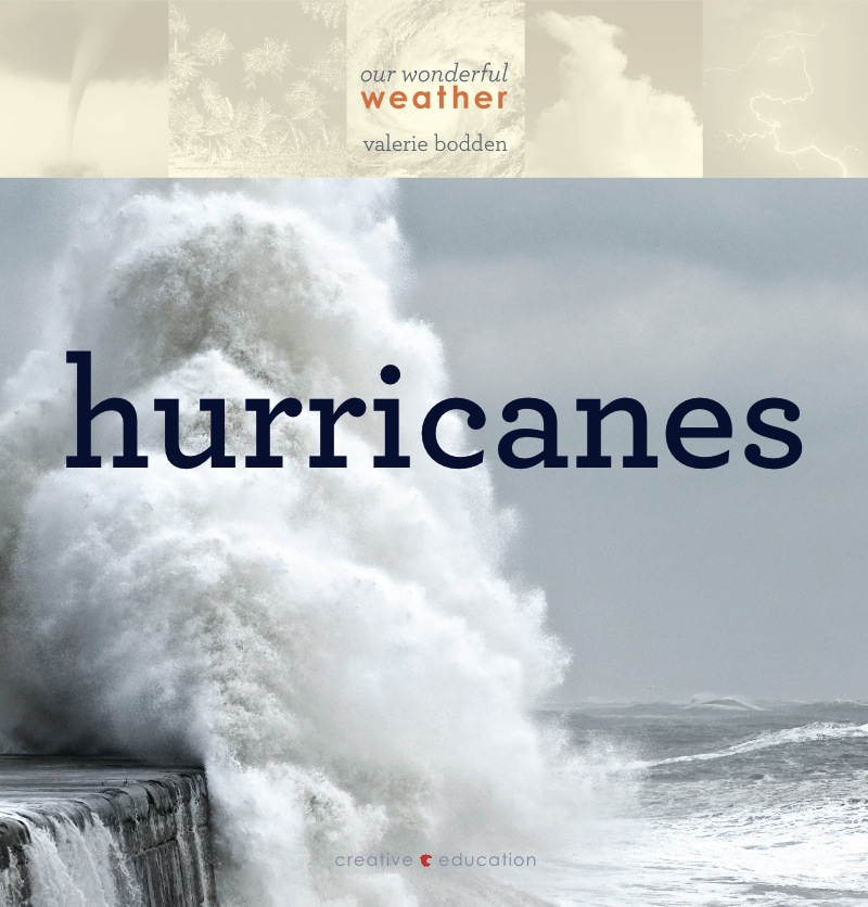 Hurricanes book cover