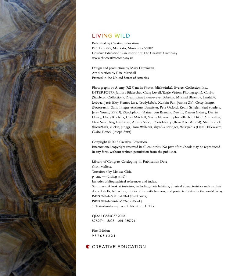 Tortoises — page 1