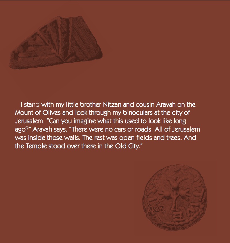 Tisha B'Av: A Jerusalem Journey book cover